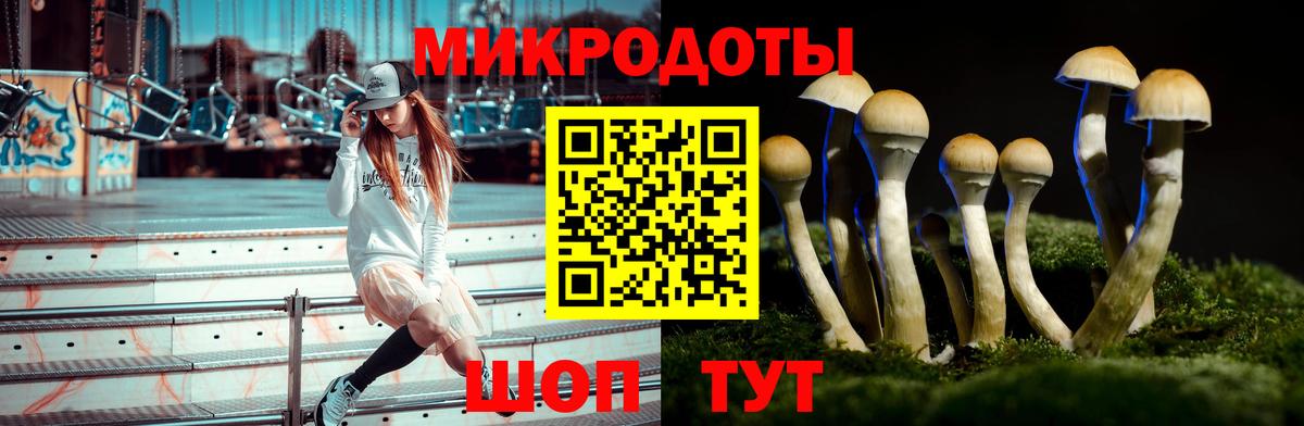 Галлюциногенные грибы прущие грибы  Вход с VPN  Зеленокумск 